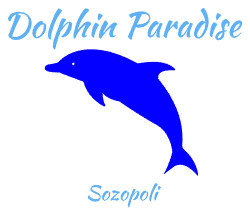 8KzdWX-LogoMakr Dolphin Paradise